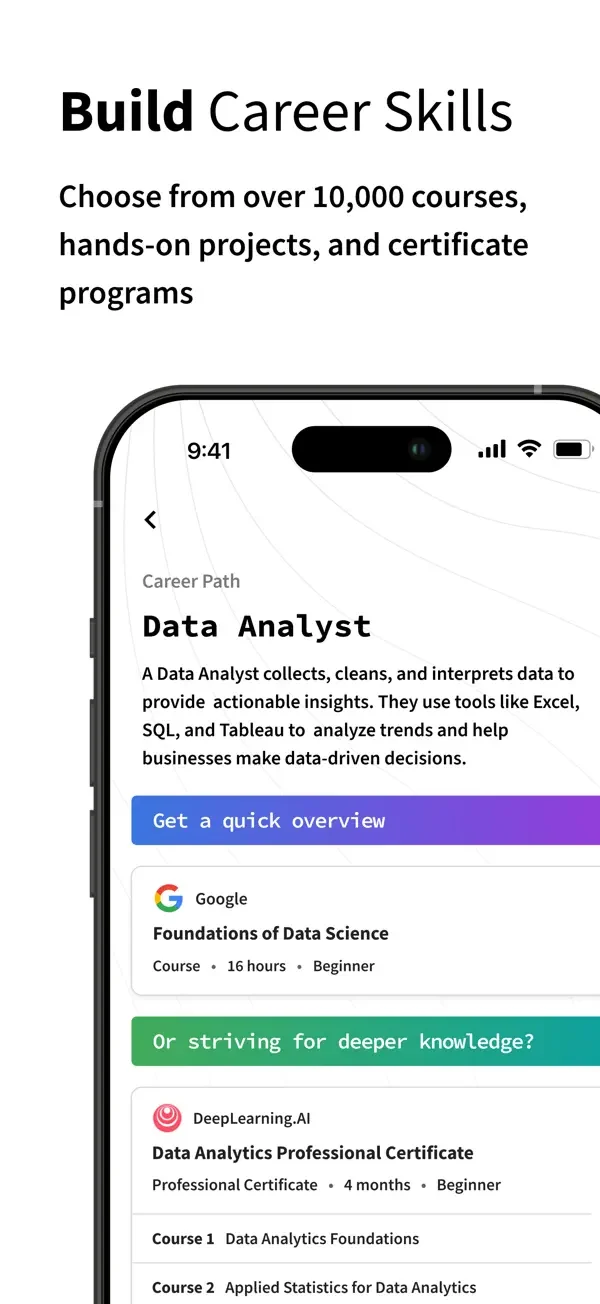 Career learning path