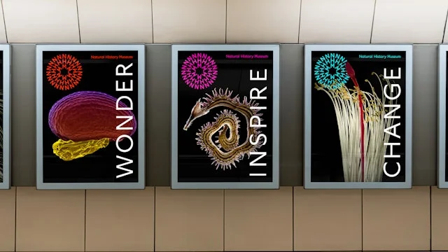 Exhibition posters