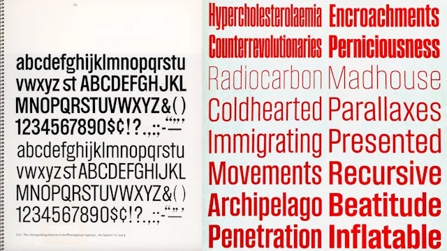 Type specimen