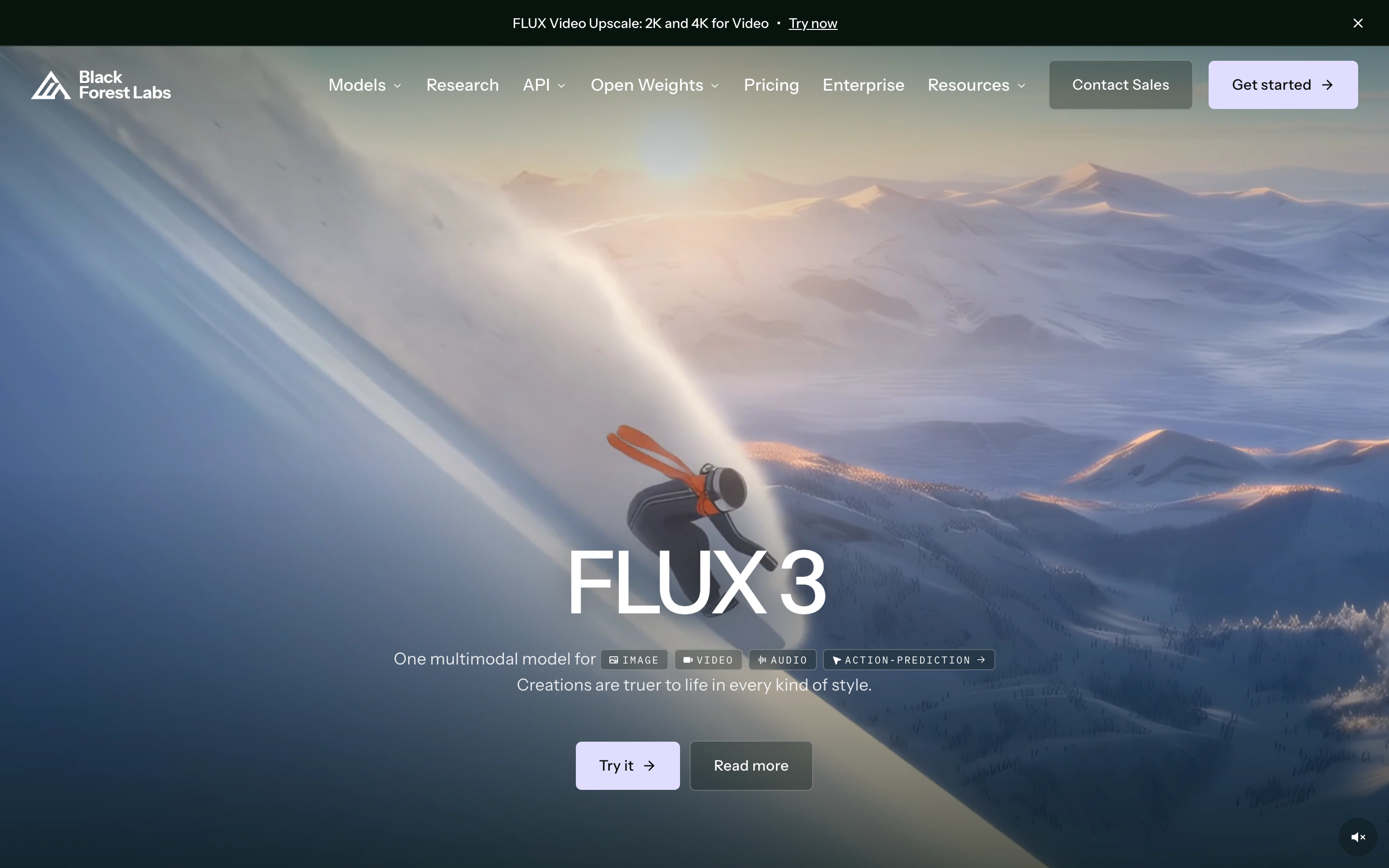 Black Forest Labs — captured interface