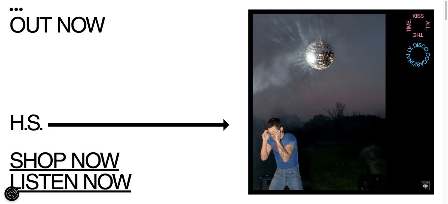 Harry Styles — captured interface