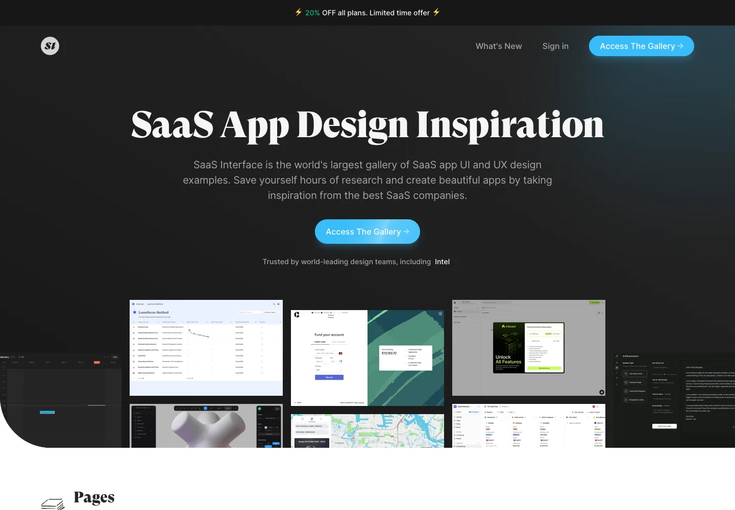 SaaS Interface — captured interface