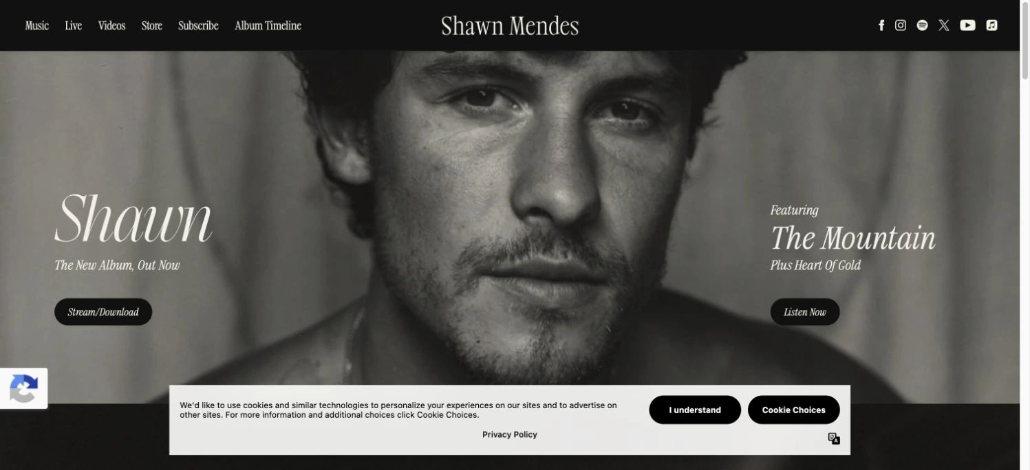 Shawn Mendes — captured interface