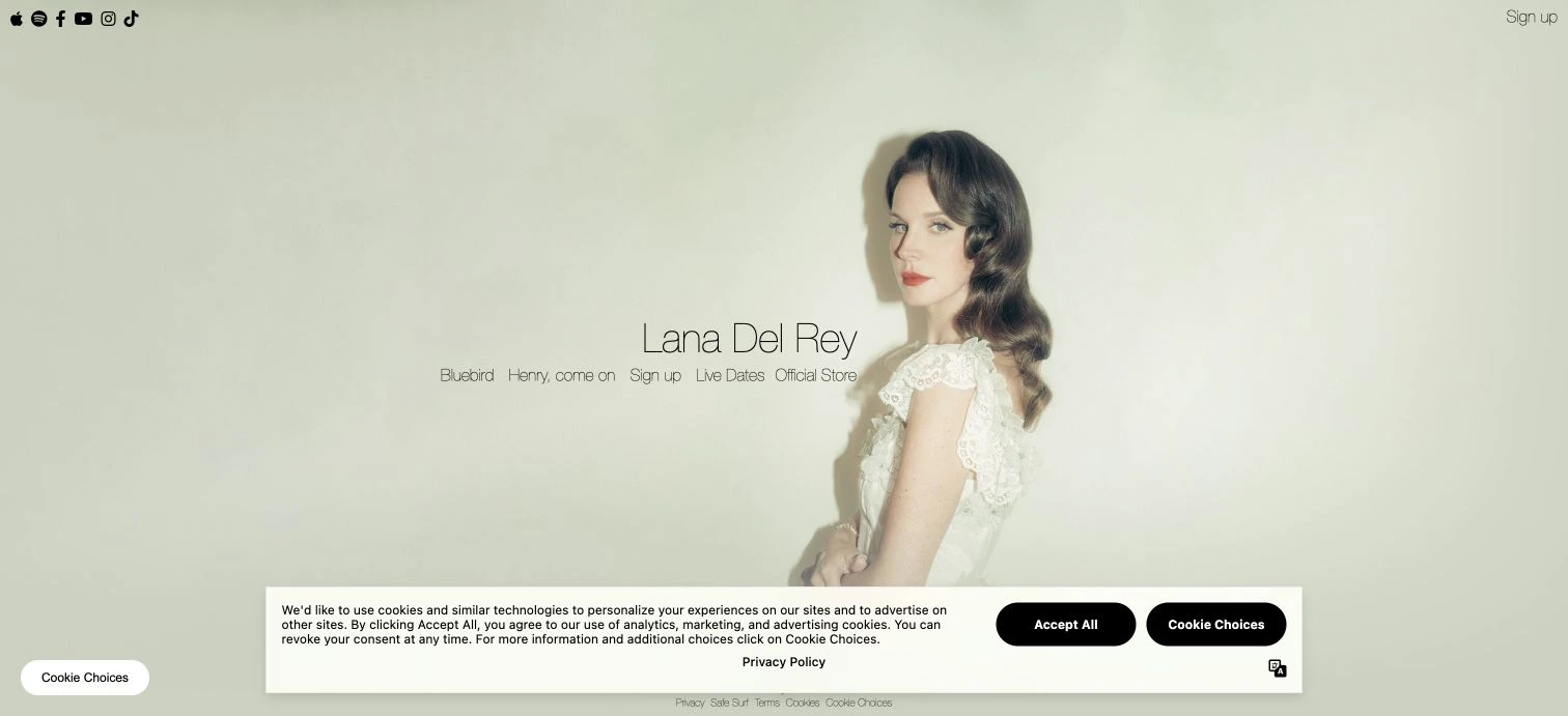 Lana Del Rey — captured interface