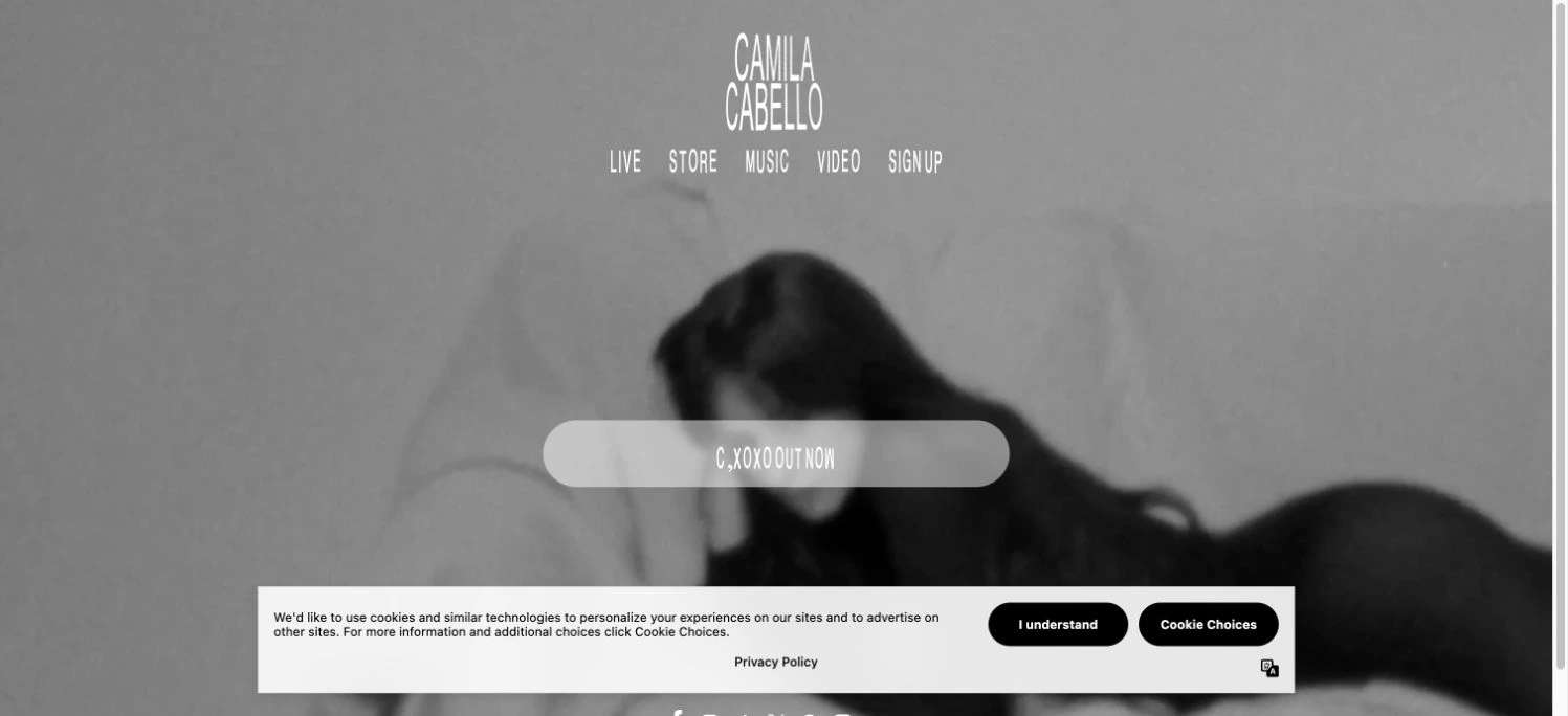 Camila Cabello — captured interface
