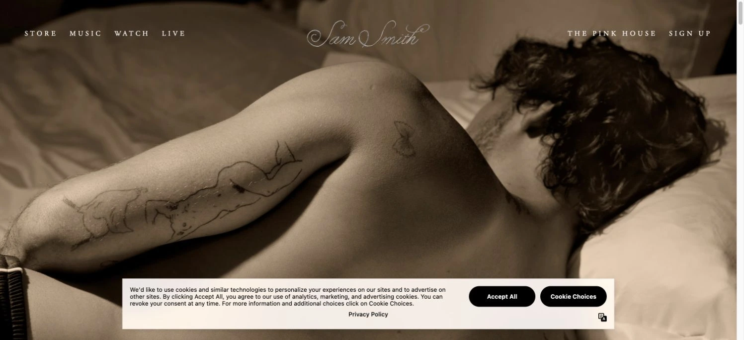 Sam Smith — captured interface