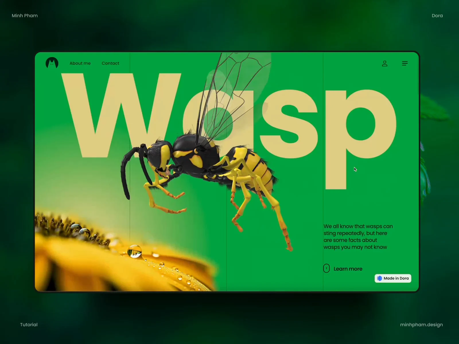 From Figma to 3D landing page with no code - Dora Tutorial preview