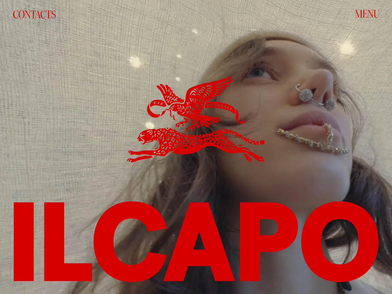IL CAPO PRODUCTION preview